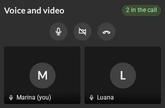 The panel with two people in the call, Marina and Luana, with the microphone, camera and leave buttons.