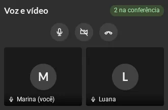 O painel com duas pessoas na conferência, Marina e Luana, com os botões de microfone, câmera e sair.